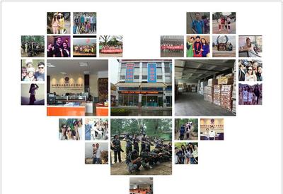 8G黃、8G熒光黃、5#綠、熒光黃8G等塑料熒光顏料 鞍山七彩惠豐標準詳解及市場采購指南